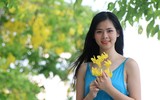 Hồ Tây ngập sắc vàng hoa muồng hoàng yến